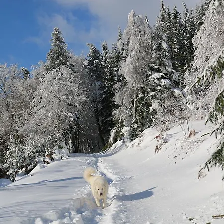 Le Relais Du Vermont Baffie