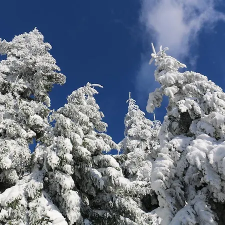 Hotel Le Relais Du Vermont Baffie