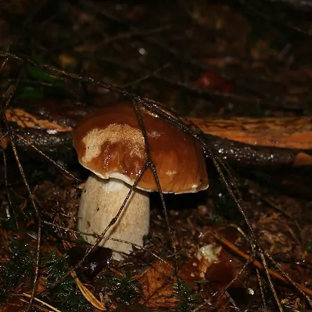 Hotel Le Relais Du Vermont Baffie