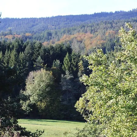 Hotel Le Relais Du Vermont *