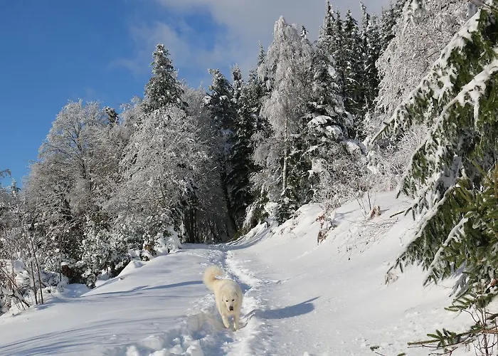 Le Relais Du Vermont Baffie