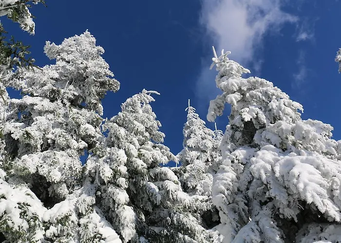 Отель Le Relais Du Vermont Baffie