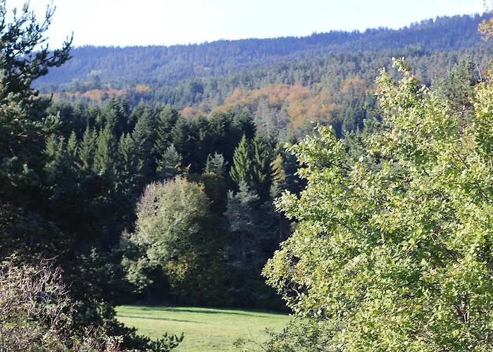 Отель Le Relais Du Vermont *