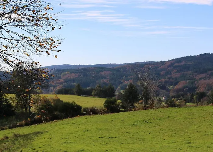 Отель Le Relais Du Vermont *