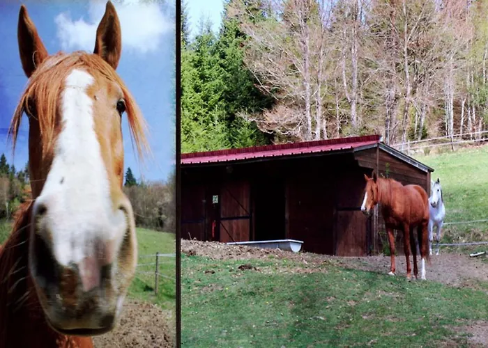 Отель Le Relais Du Vermont *